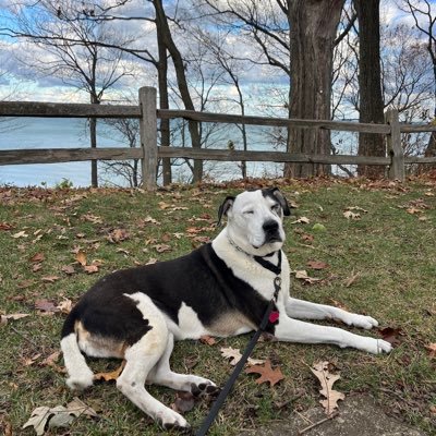 Feral2A's profile picture. Cradle Catholic now fervent follower of Christ. American. Unapologetic. Ipse venana bibas. Vade retro santana.