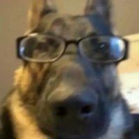 ๐ Tragikly (@tragikly1) 's Twitter Profile