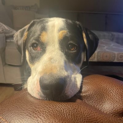 puckme99's profile picture. 