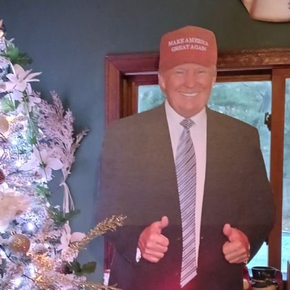Patriot of Michigan Trump won
Covid-19 vaccine can kill you
There's 2 genders and Don't DM ME