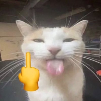 bushlover42069's profile picture. 21 | 🏳️‍🌈 | i ♥️ my girlfriend