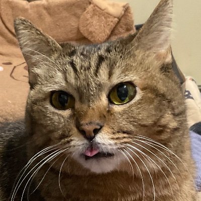 mvj8ziimKB94056's profile picture. 