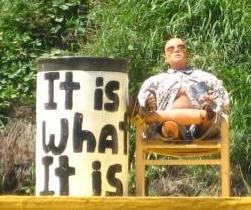 It is what it is.