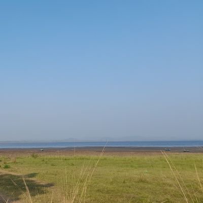 Chaurey237's profile picture. 