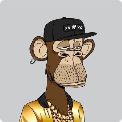 felcon536051's profile picture. 