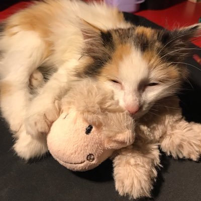 myglooom's profile picture. #RussiaIsATerroristState