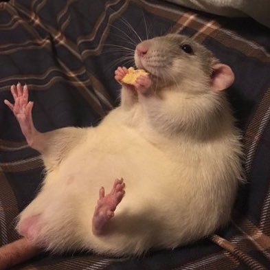 rock_delicious's profile picture. I love Leland