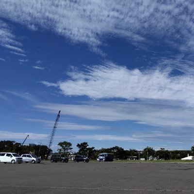 MT19860720's profile picture. Hello,web3