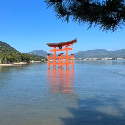 ライフアフター垢ドベ鯖最後の都市→エデン→ポテチとミント 最近クラシックギターのレストアや改造、蒐集にハマったオッサンです。