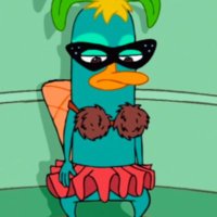 Perry The Platypus (@defi_perryy) 's Twitter Profile