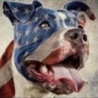 William Dobrow (@william_dobrow) 's Twitter Profile