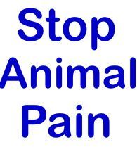 Animals share similar mechanisms of pain detection, physical hurt, discomfort, emotional suffering caused by injury, disease & environment.
