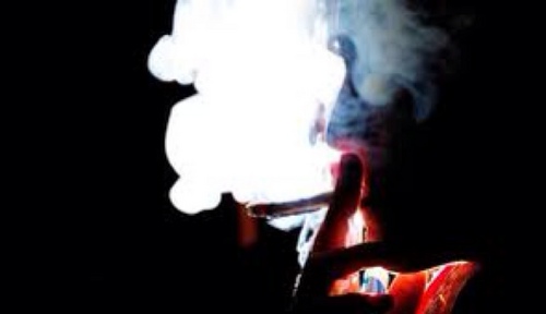 When you smoke the herb, it reveals you to yourself 🤙
#TeamSoloDolo #MMOT - L$d -
Come Get Lost In My Kush Clouds! 💨
FOLLOW ME! :)