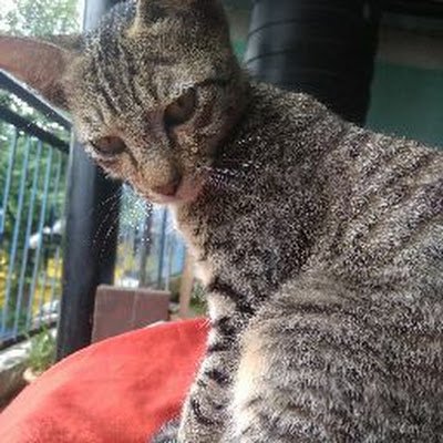 MunishRana_'s profile picture. 