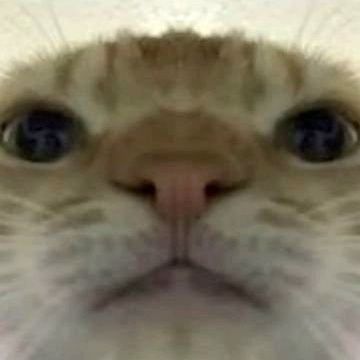 @tkat5675