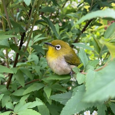 IW8mbvryBTvw7jP's profile picture. 