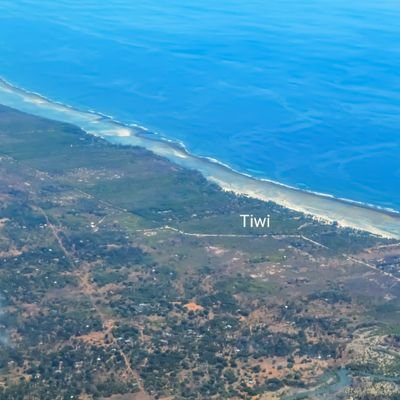 Tyronebase's profile picture. Dad, Pro-Life-out-doors. #Basketball🏀 #Boerboels🐕 #Rottweillers🐕 
#IvoryforElephants 
I don't sell anything. 
Retweets are NOT ENDORSEMENTS!
No DMs please