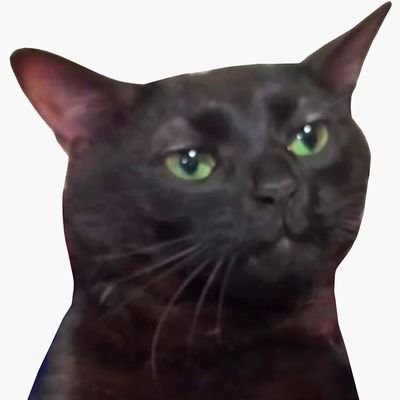 Vunja_habari's profile picture. I bring what I think may interest you
https://t.co/sI4vSDPRVz