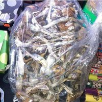 Magic Mushroom Australia (@magicmushroomau) 's Twitter Profile