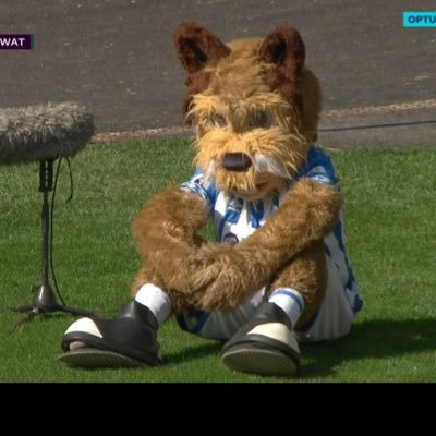 It’s not the size of the dog in the fight but the size of the fight in the dog 💪#htafc
