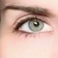 L (@agnosticempath) 's Twitter Profile