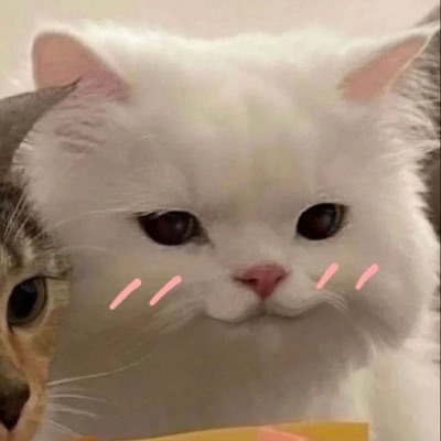 Rungchao_'s profile picture. 