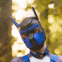 DanyWolfPup (@danywolfpup) 's Twitter Profile Photo DanyWolfPup (@danywolfpup) 's Twitter Profile Photo