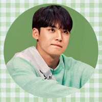 Aleakim saw SVT 💚 (@alea_kim08) 's Twitter Profile