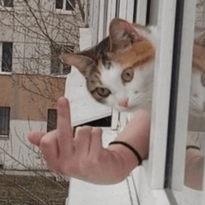 StoutSauerkraut's profile picture. drinking Jager. будеш шось мав — звони!