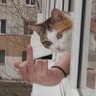 StoutSauerkraut's profile picture. drinking Jager. будеш шось мав — звони!