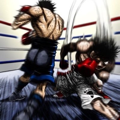 wildfightclips's profile picture. 