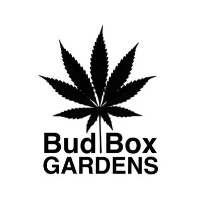 Bud Box puff Profile