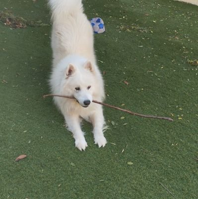 NaYz60's profile picture. 19| 🍷
¿vuelvo al fn?