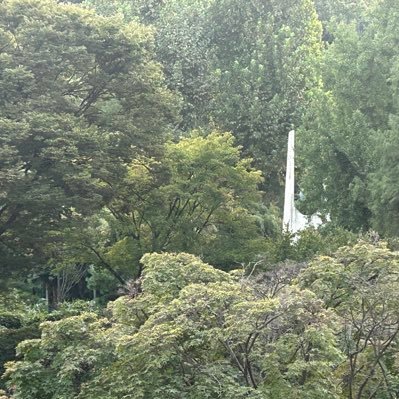 headscissorskor's profile picture. 조르기를 좋아하는 사람 Livin Seoul