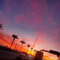 MannyX (@mannyx0_0) 's Twitter Profile Photo