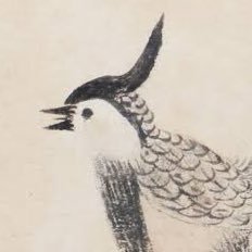 zakk_durrellさんのプロフィール画像