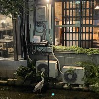 Roberto Covino (@covinolab) 's Twitter Profile