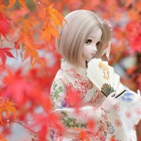 やまと (@yamato_lilysky) 's Twitter Profile Photo やまと (@yamato_lilysky) 's Twitter Profile Photo
