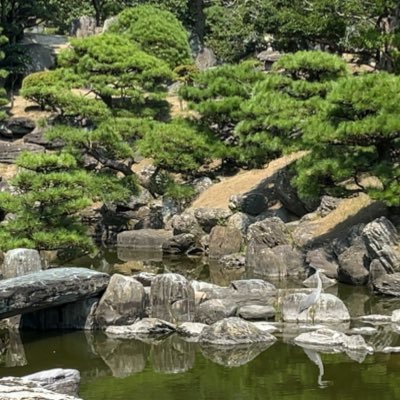 hen2v4f31070's profile picture. 