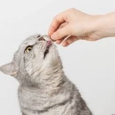 CrowWtrlw's profile picture. Your Legitimate DPF Seller