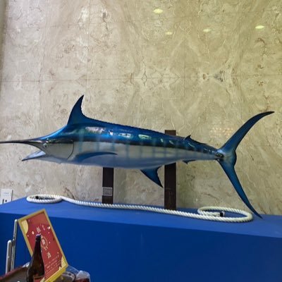 Michi612612's profile picture. 23論文✖︎→24年論文⭕️