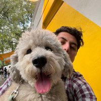 Horacio Acosta (@amarillomango) 's Twitter Profile
