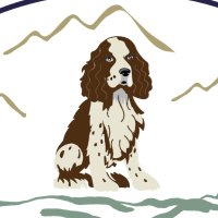 Spaniel Aid (@spanielaiduk) 's Twitter Profile
