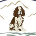 Spaniel Aid (@spanielaiduk) Twitter profile photo Spaniel Aid (@spanielaiduk) Twitter profile photo
