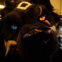 투쓰 (@tooth_fursuit) 's Twitter Profile Photo 투쓰 (@tooth_fursuit) 's Twitter Profile Photo