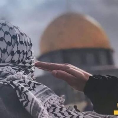 omar2086015's profile picture. لا اله الا الله