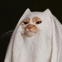 Раскол среди ушей (@dishonest_of_me) 's Twitter Profile