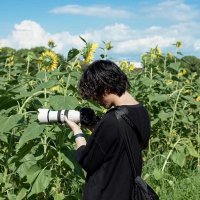 sora (@sorazyx_) 's Twitter Profile