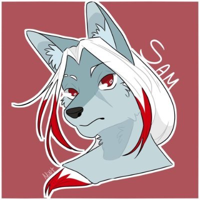 SHJさんのプロフィール画像