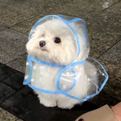 tcrc0o_'s profile picture. 